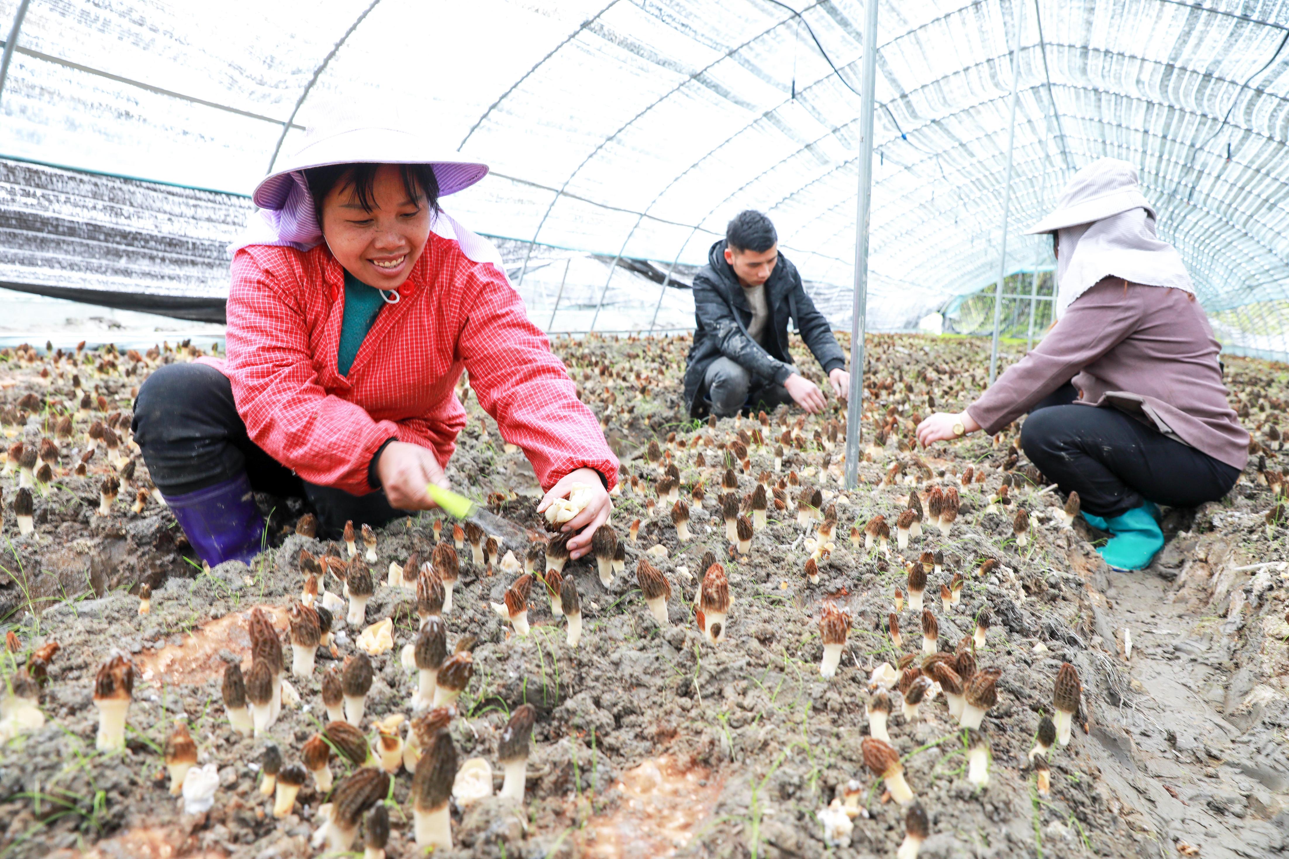 关于野生篮球运动在乡村地区掀起新热潮,促进乡村振兴战略的信息 关于野生篮球运动在乡村地区掀起新热潮,促进乡村振兴战略的信息