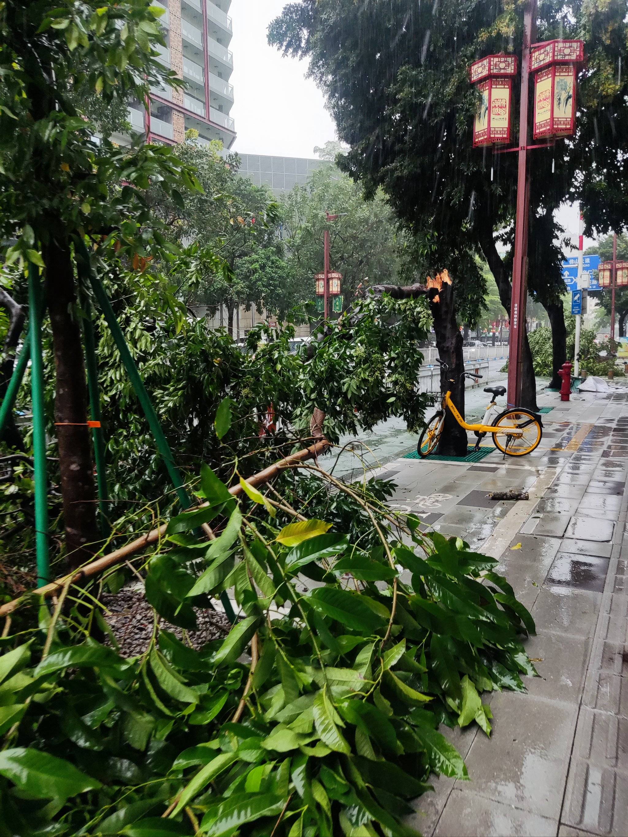 极端天气应对策略:雨、雪、风中的精彩比拼的简单介绍 极端天气应对策略:雨、雪、风中的精彩比拼的简单介绍