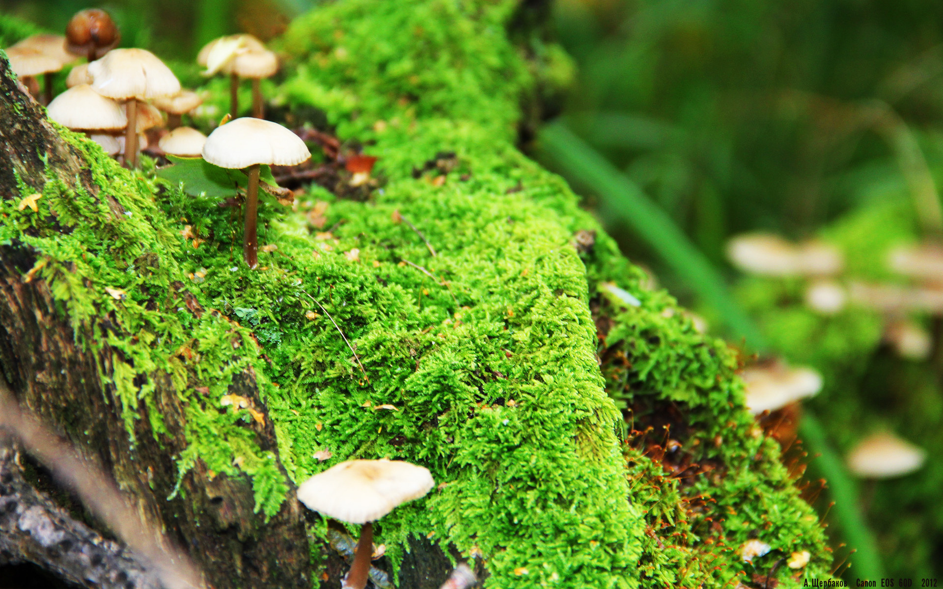 九游娱乐注册-国足新赛季目标明确，全力冲击世界杯，国足备战世界杯