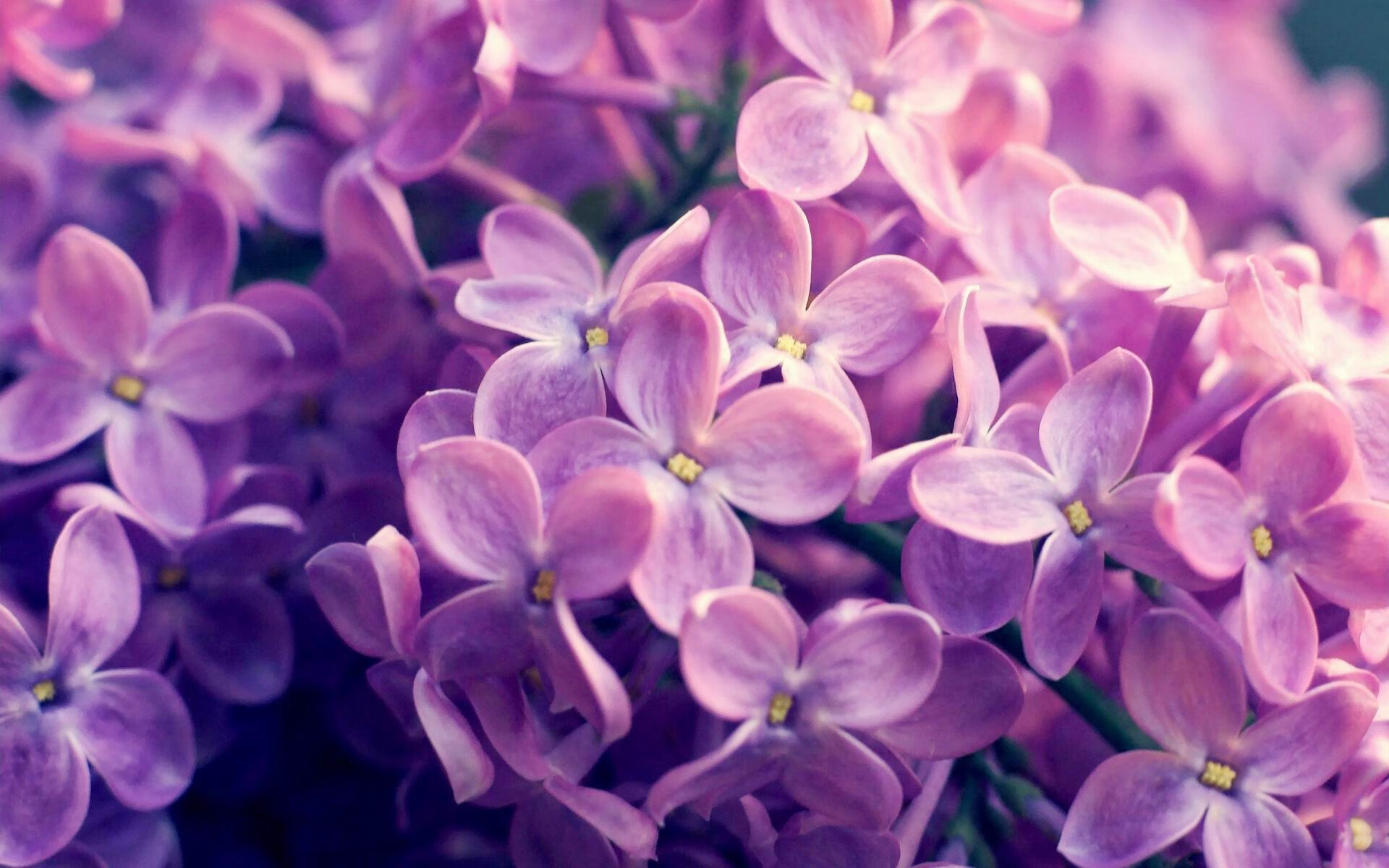 西甲防守转型后对中场拦截次数的影响研究，西甲用球2020