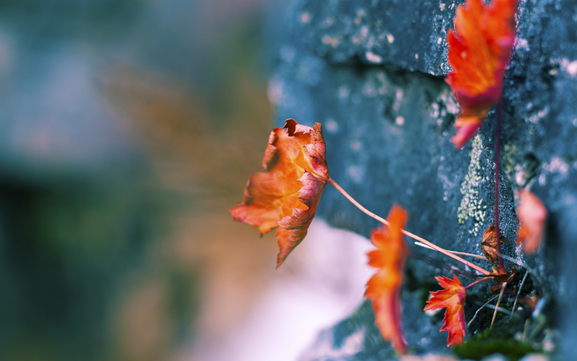 体育新闻中心发布青少年运动发展报告,青少年运动现状