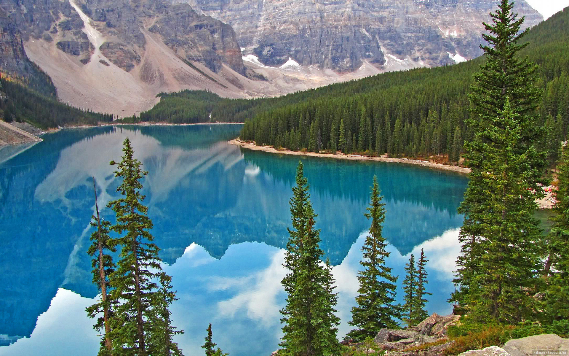 布莱顿控球率领先维持场面优势,布莱顿球队外号