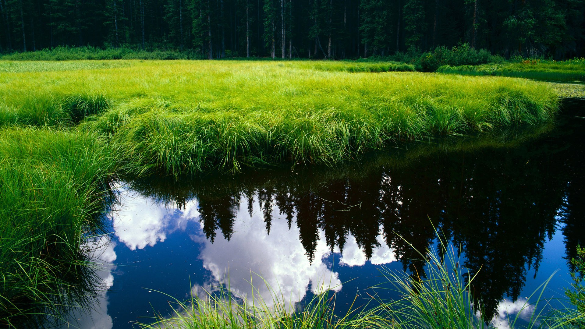 拜仁双边推进持续冲击对方防线,拜仁2-1