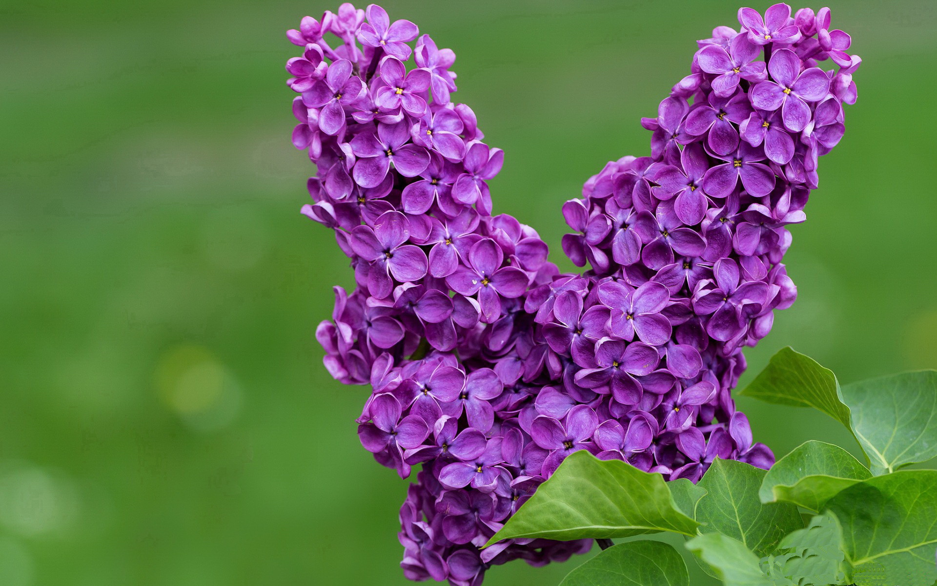 校园足球推广计划深入推进,青少年热情高涨,校园足球的推广