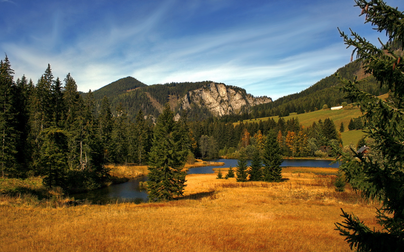 九游体育网页入口-游泳选手技术标准化提升，逐步缩小差距，游泳选手是什么意思